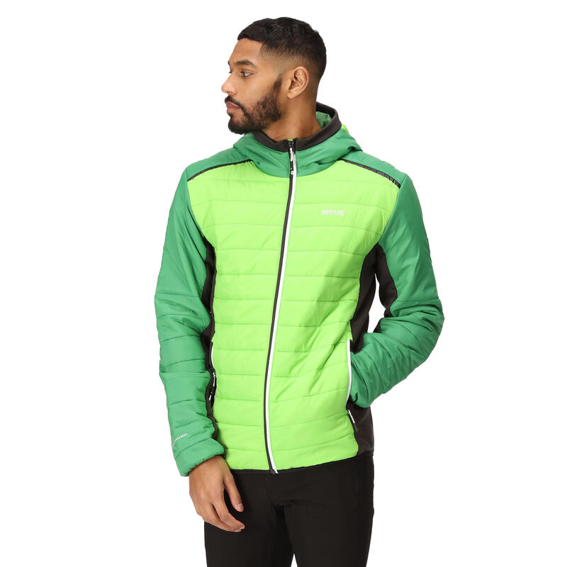 Veste matelassée TRUTTON Homme (Vert jasmin / Vert des champs)