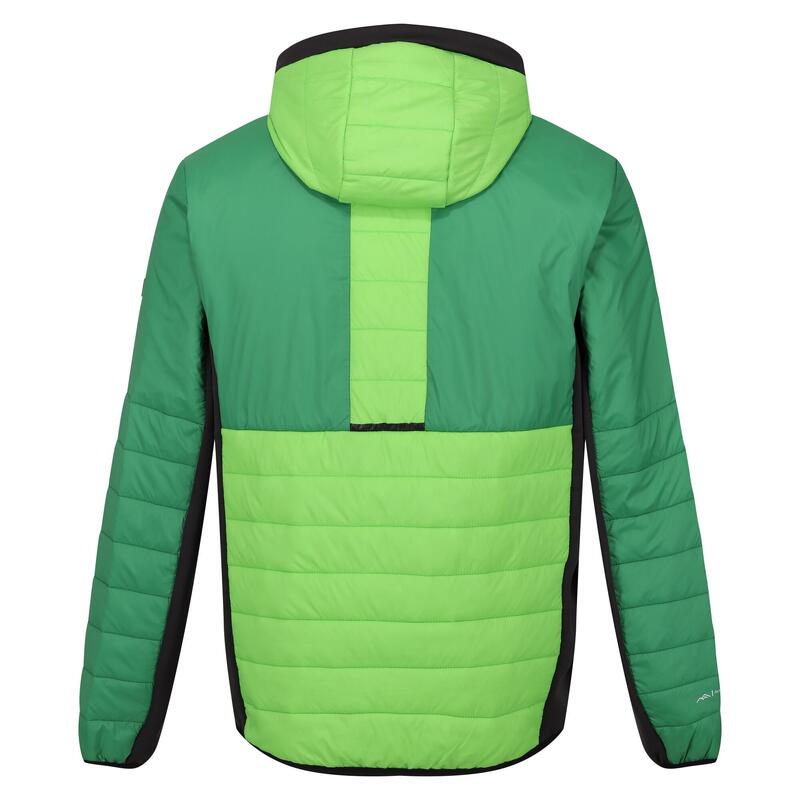 Veste matelassée TRUTTON Homme (Vert jasmin / Vert des champs)