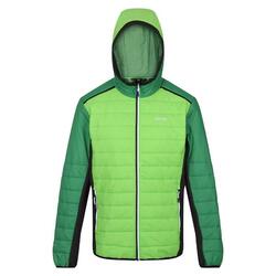 Veste Matelassée TRUTTON Homme (Vert Jasmin / Vert Des Champs)