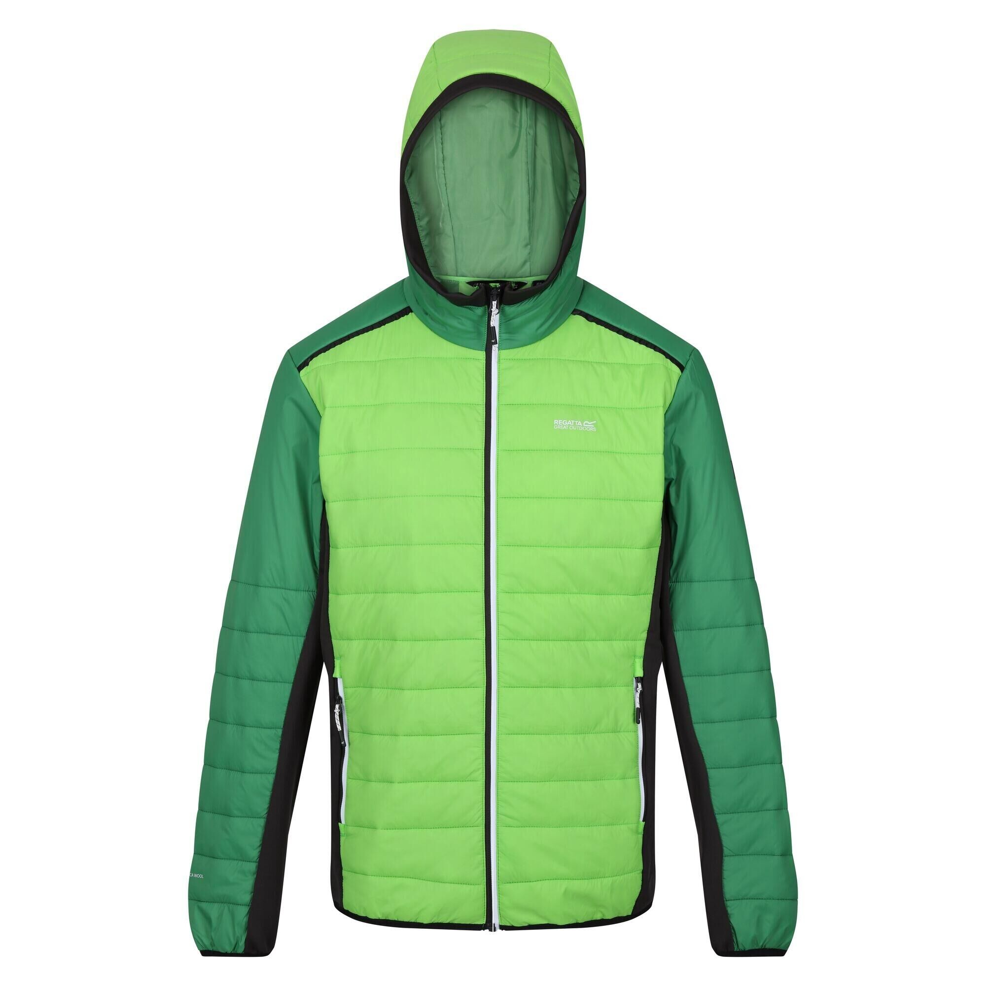 REGATTA Mens Trutton II Baffled Padded Jacket (Jasmine Green/Field Green)