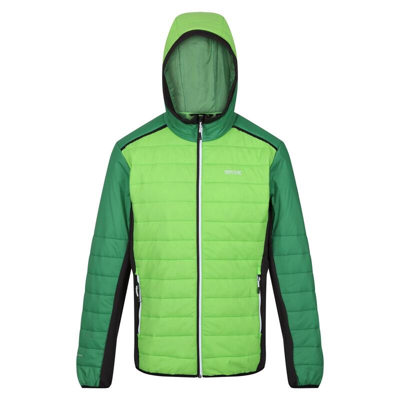 Veste matelassée TRUTTON Homme (Vert jasmin / Vert des champs)