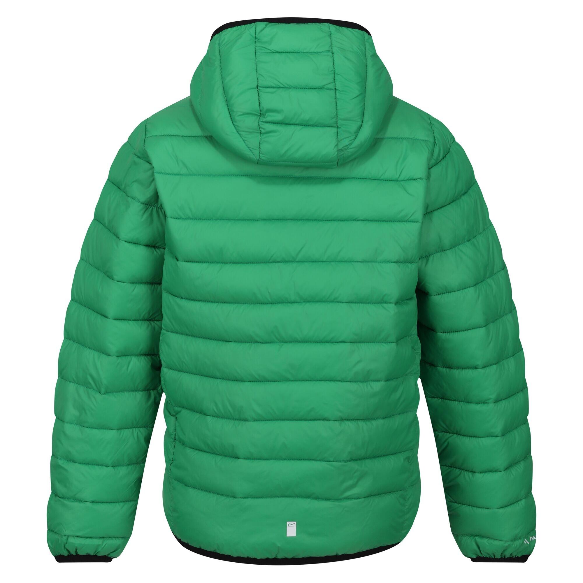 Childrens/Kids Marizion Hooded Padded Jacket (Field Green/Jasmine Green) 2/5