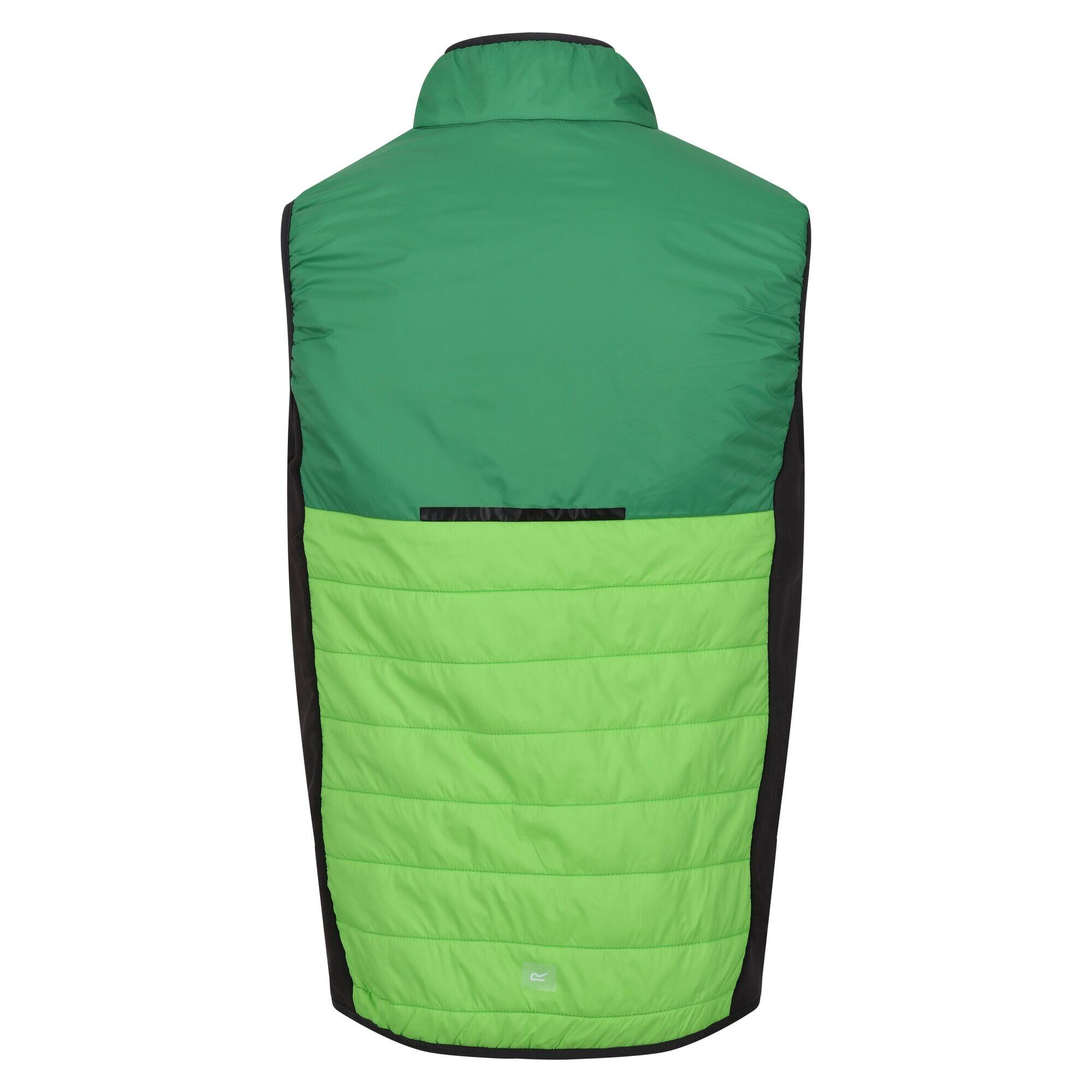 Veste Sans Manches HALTON BAFFLED Homme (Vert Jasmin / Vert Des Champs) 2/5