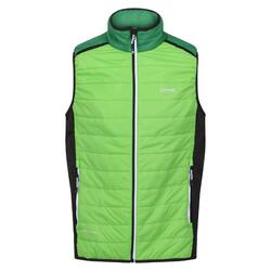 Veste Sans Manches HALTON BAFFLED Homme (Vert Jasmin / Vert Des Champs)