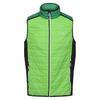 Heren Halton VII Gewatteerd Gilet (Jasmijngroen/Veldgroen)