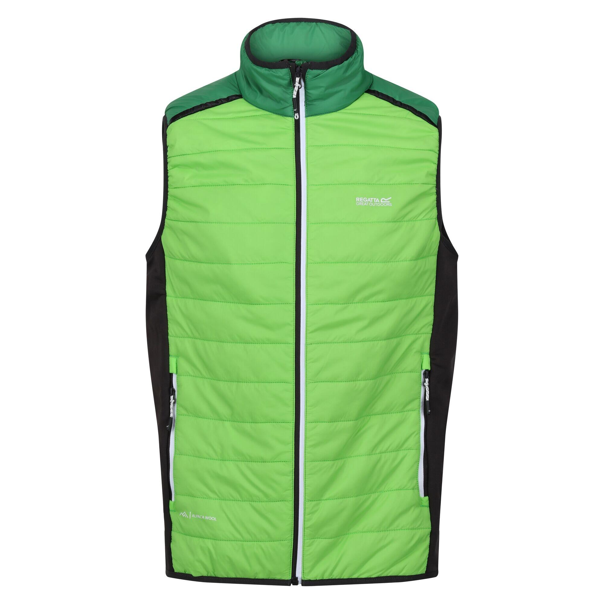 Regatta - Veste Sans Manches Halton Baffled Homme (vert Jasmin / Vert Des Champs) - Doudoune Duvet - Vert - 52 2xl - Decathlon
