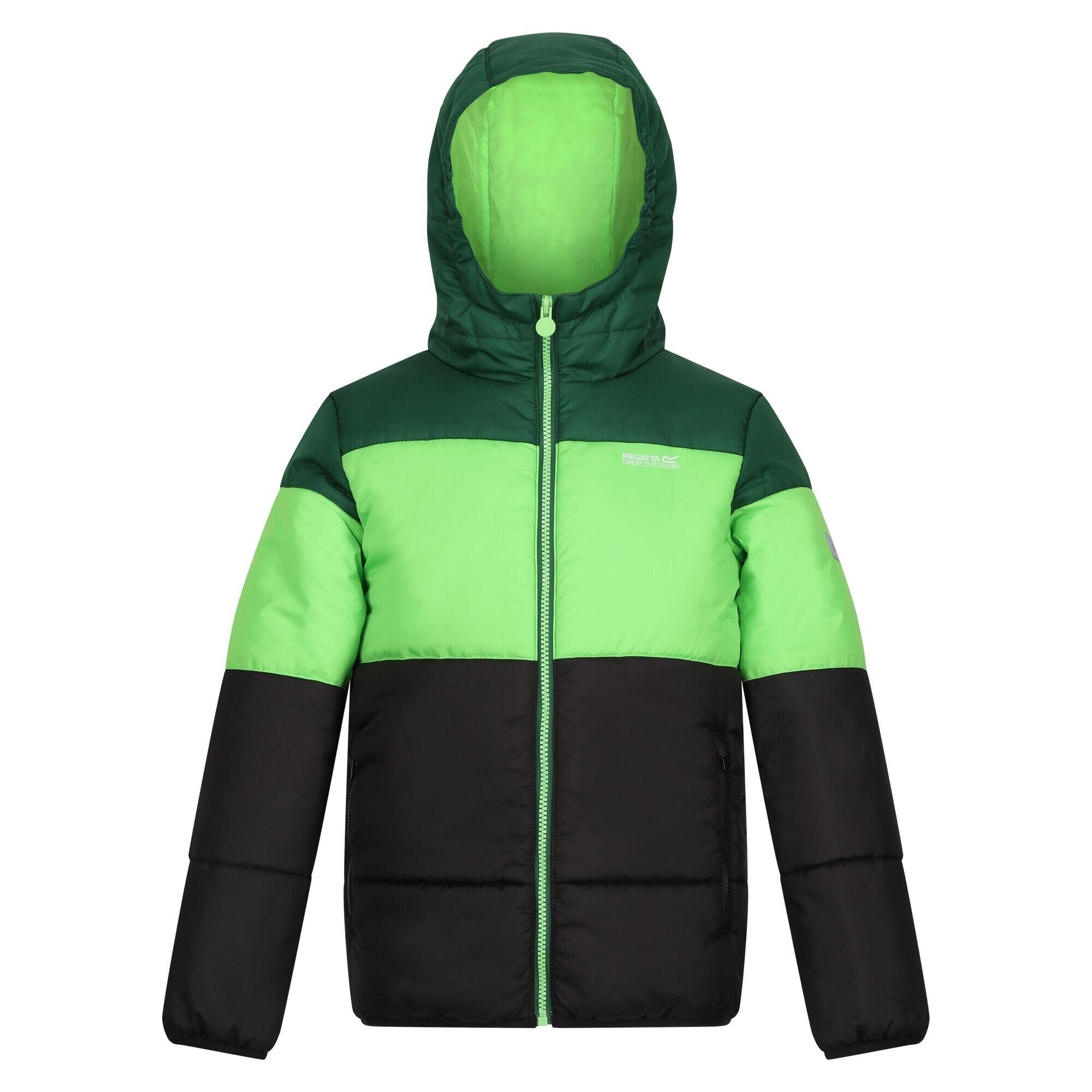 REGATTA Childrens/Kids Lofthouse VII Terrain Print Padded Jacket (Eden/Jasmine Green)