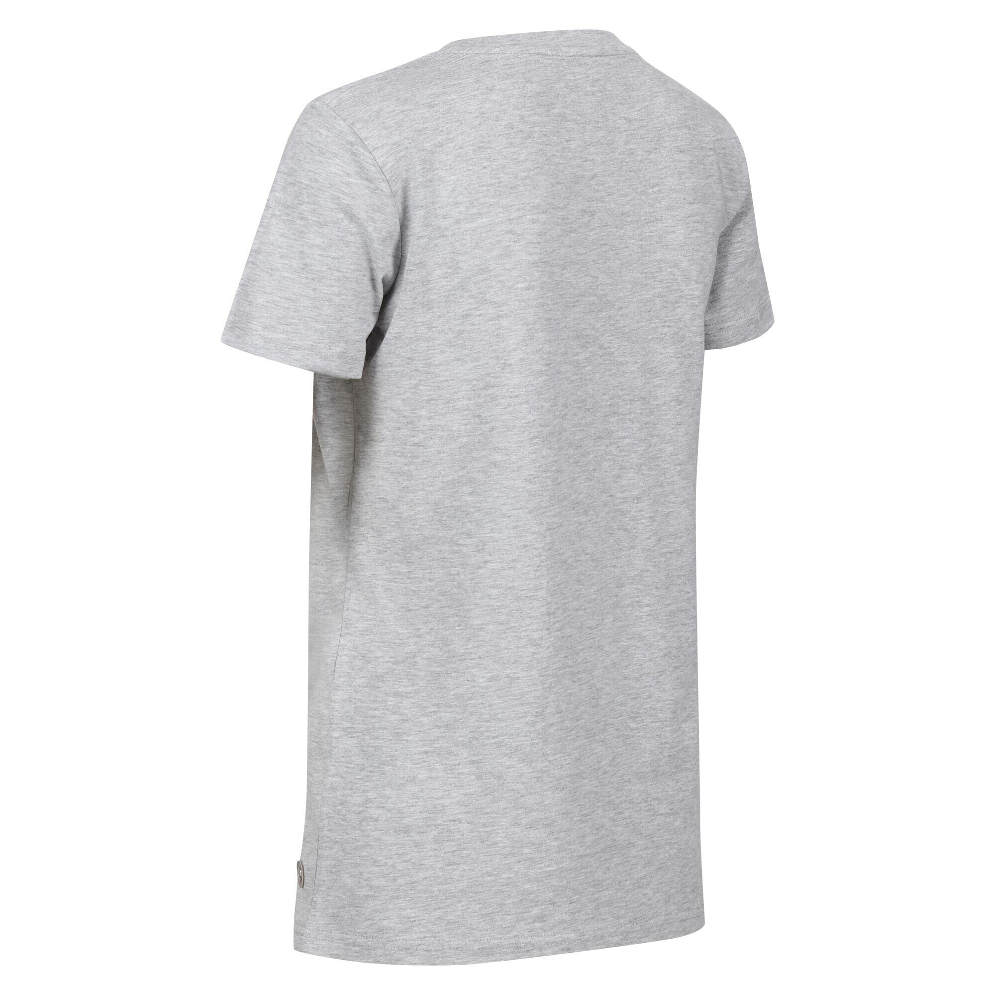 Womens/Ladies Filandra VII Star Marl TShirt (Paloma Grey) 4/5