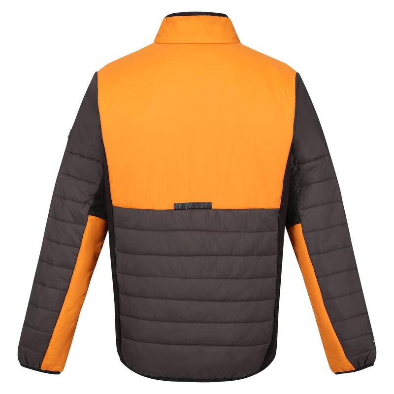 Heren Halton VII Contrast paneel gewatteerde jas (As/oranje peper)