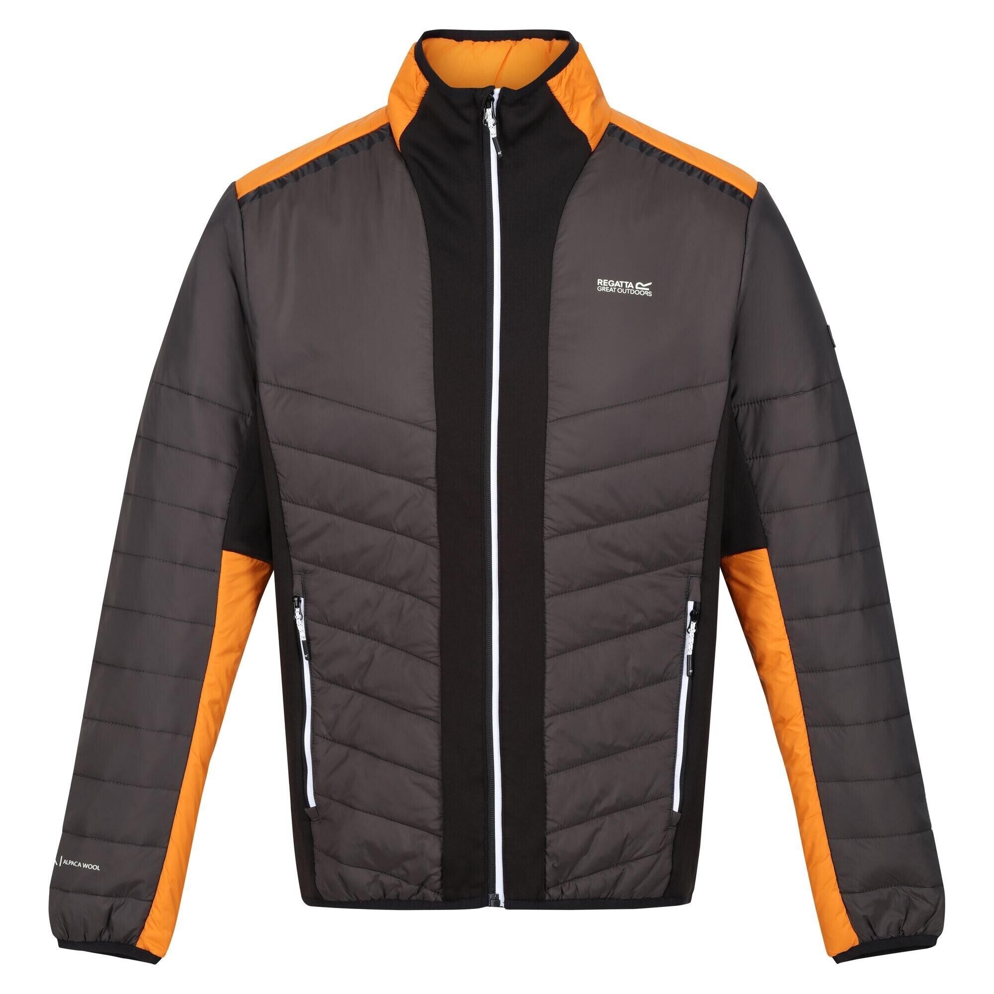 REGATTA Mens Halton VII Contrast Panel Baffled Padded Jacket (Ash/Orange Pepper)