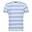 Heren Ryeden Gestreept Coolweave Tshirt (Wit/meerblauw)