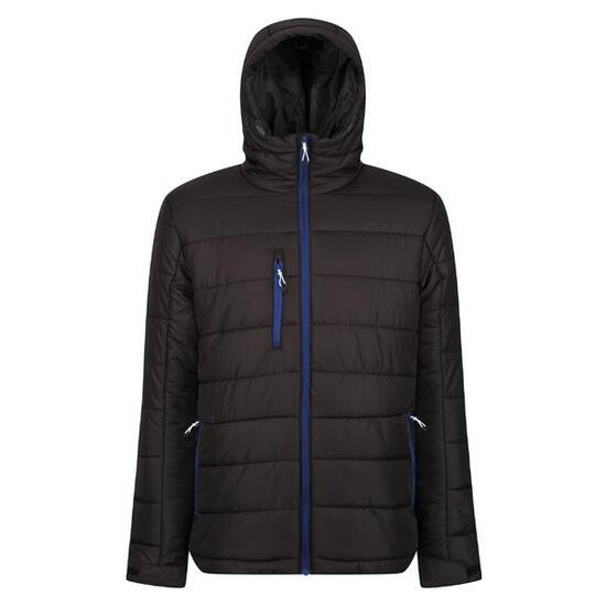 Veste matelassée homme Regatta (Noir/Bleu) synthétique