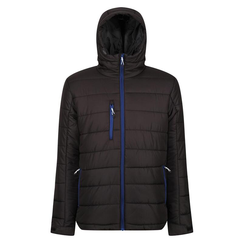 Veste Matelassée Homme (Noir / Bleu Roi)