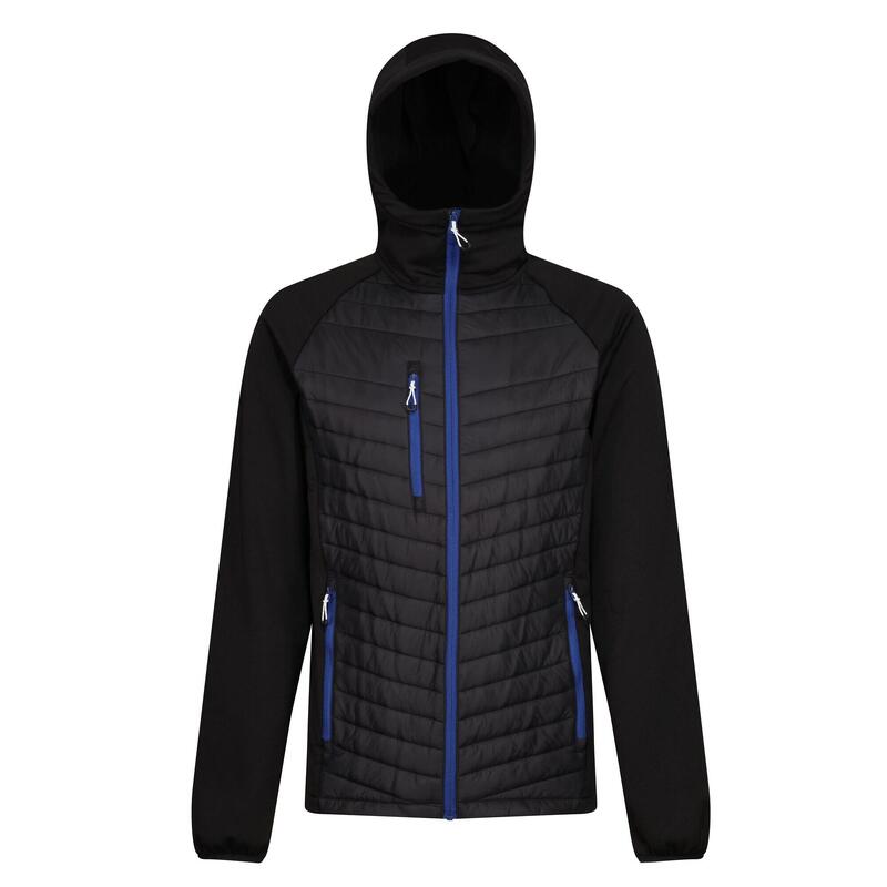 Veste hybride NAVIGATE Homme (Noir / Bleu roi)