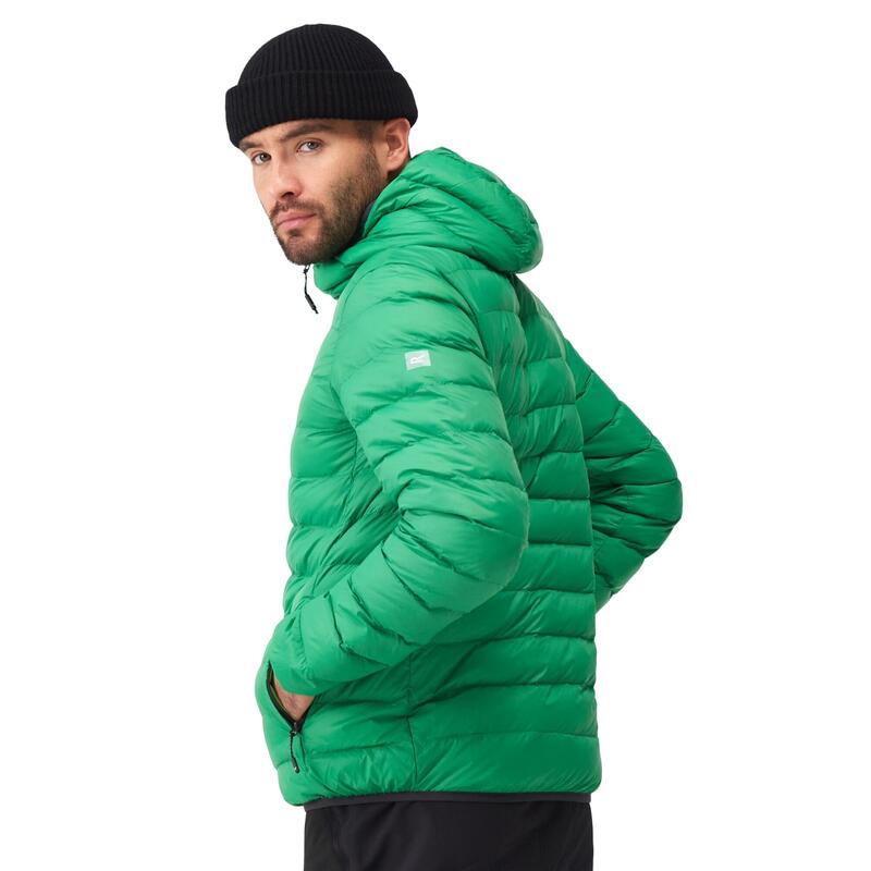 Veste matelassée MARIZION Homme (Vert des champs / Vert jasmin)