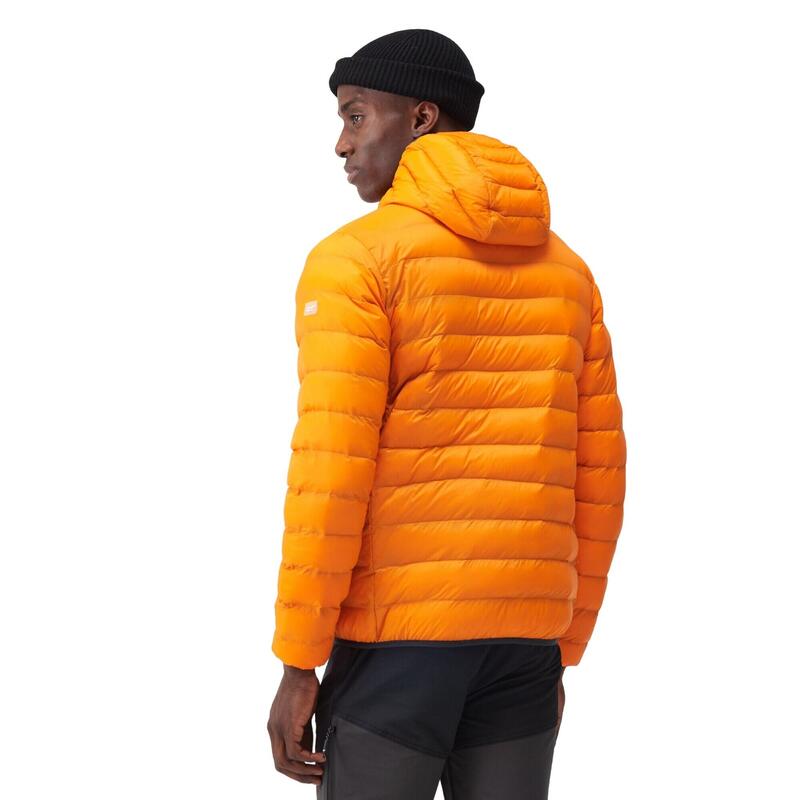 Veste matelassée MARIZION Homme (Orange / Orange brûlé)