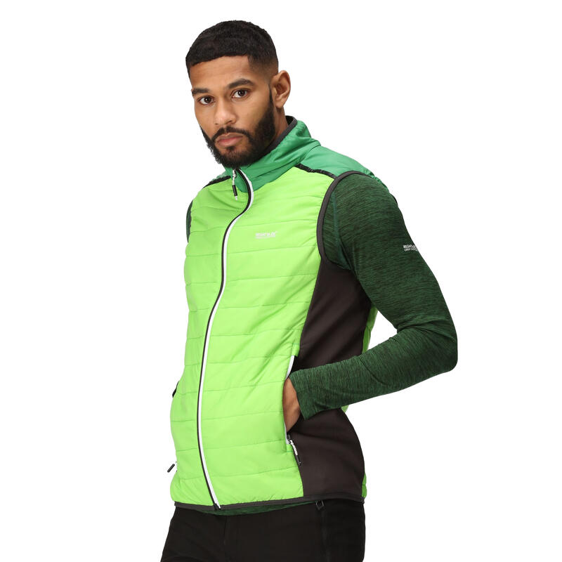 Veste sans manches HALTON BAFFLED Homme (Vert jasmin / Vert des champs)