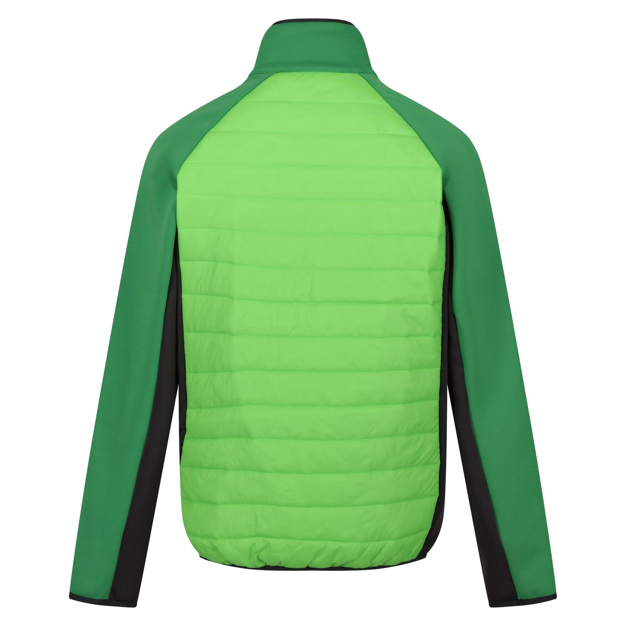 Chaqueta Híbrida Clumber IV para Hombre Verde Jasmín, Campo Verde 3/5