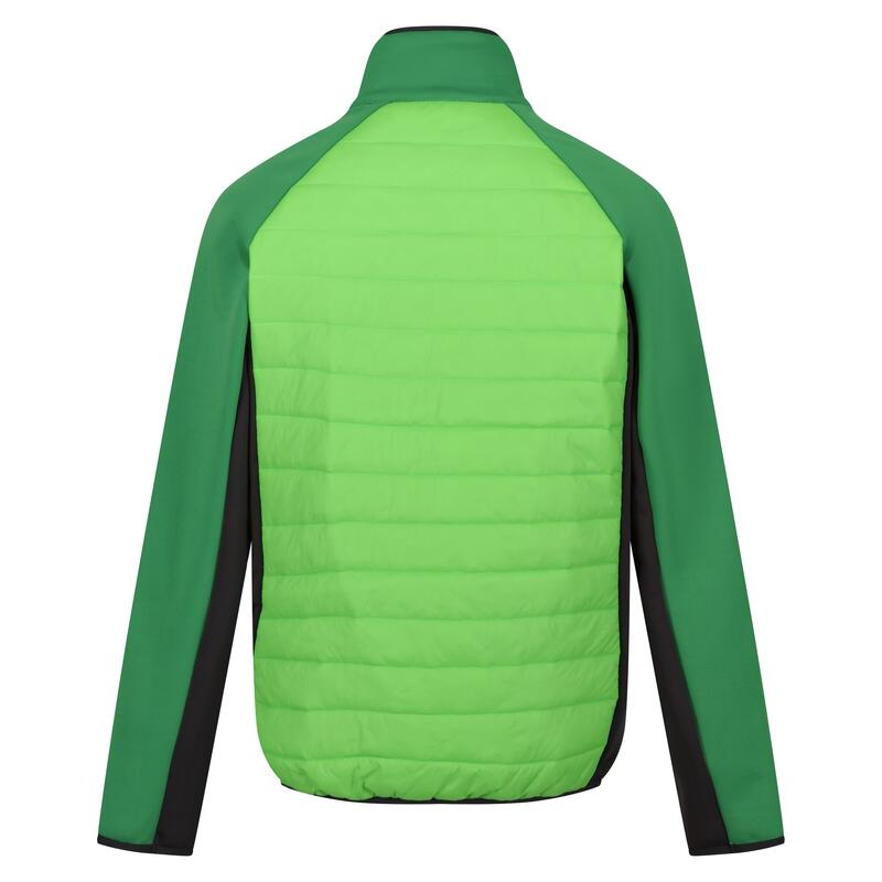 Heren Clumber IV Full Zip Hybride Jas (Jasmijngroen/Veldgroen)