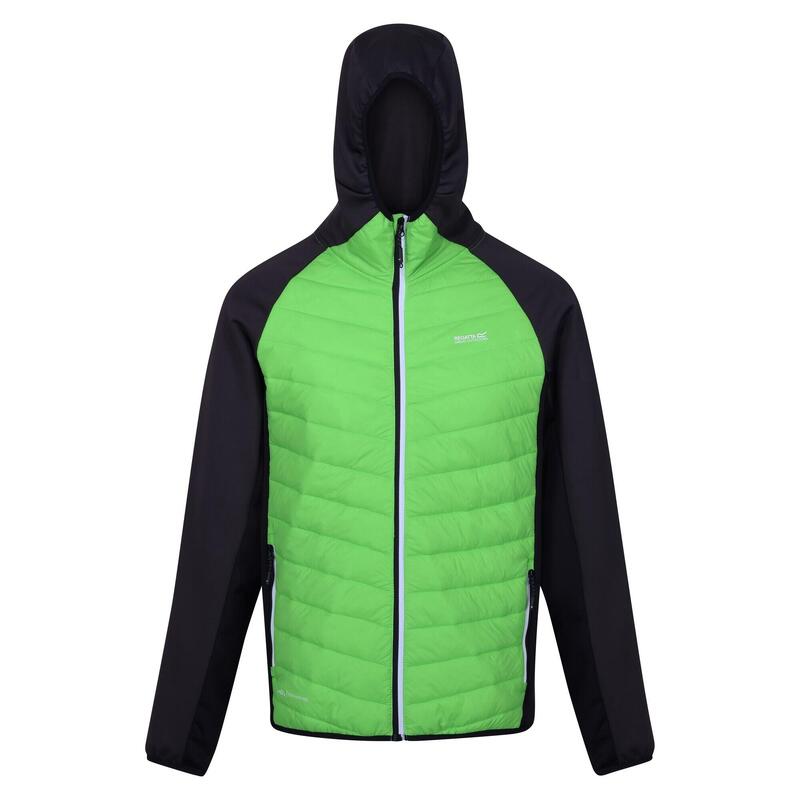 Veste hybride ANDRESON Homme (Vert jasmin / Cendre)