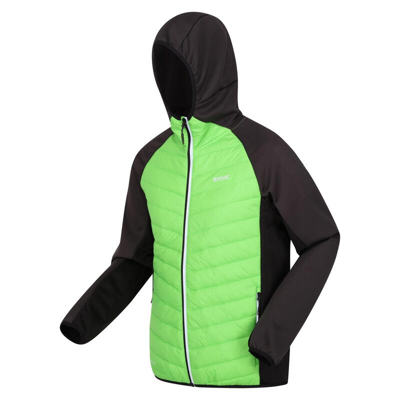 Veste hybride ANDRESON Homme (Vert jasmin / Cendre)