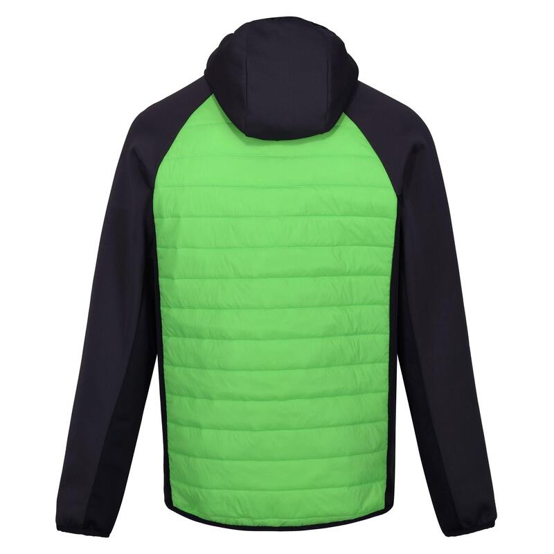 Veste hybride ANDRESON Homme (Vert jasmin / Cendre)