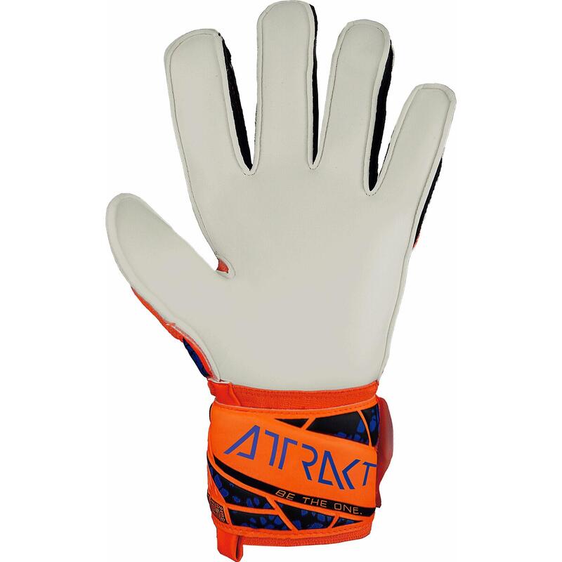 Gants de gardien Reusch Attrakt Solid