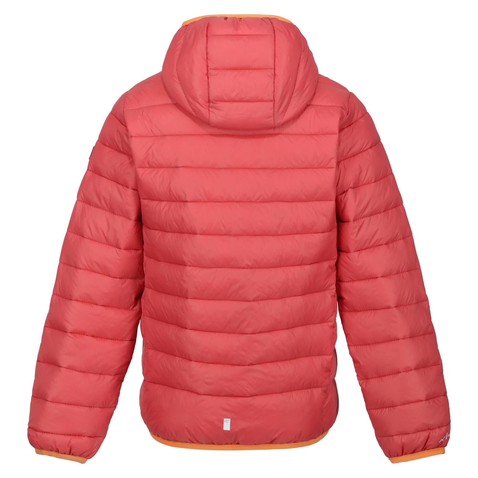 Childrens/Kids Marizion Hooded Padded Jacket (Mineral Red/Burgundy) 2/5