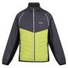 Veste softshell STEREN HYBRID Homme (Gris phoque / Vert algue)