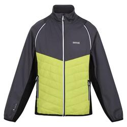 Veste softshell STEREN HYBRID Homme (Gris phoque / Vert algue)