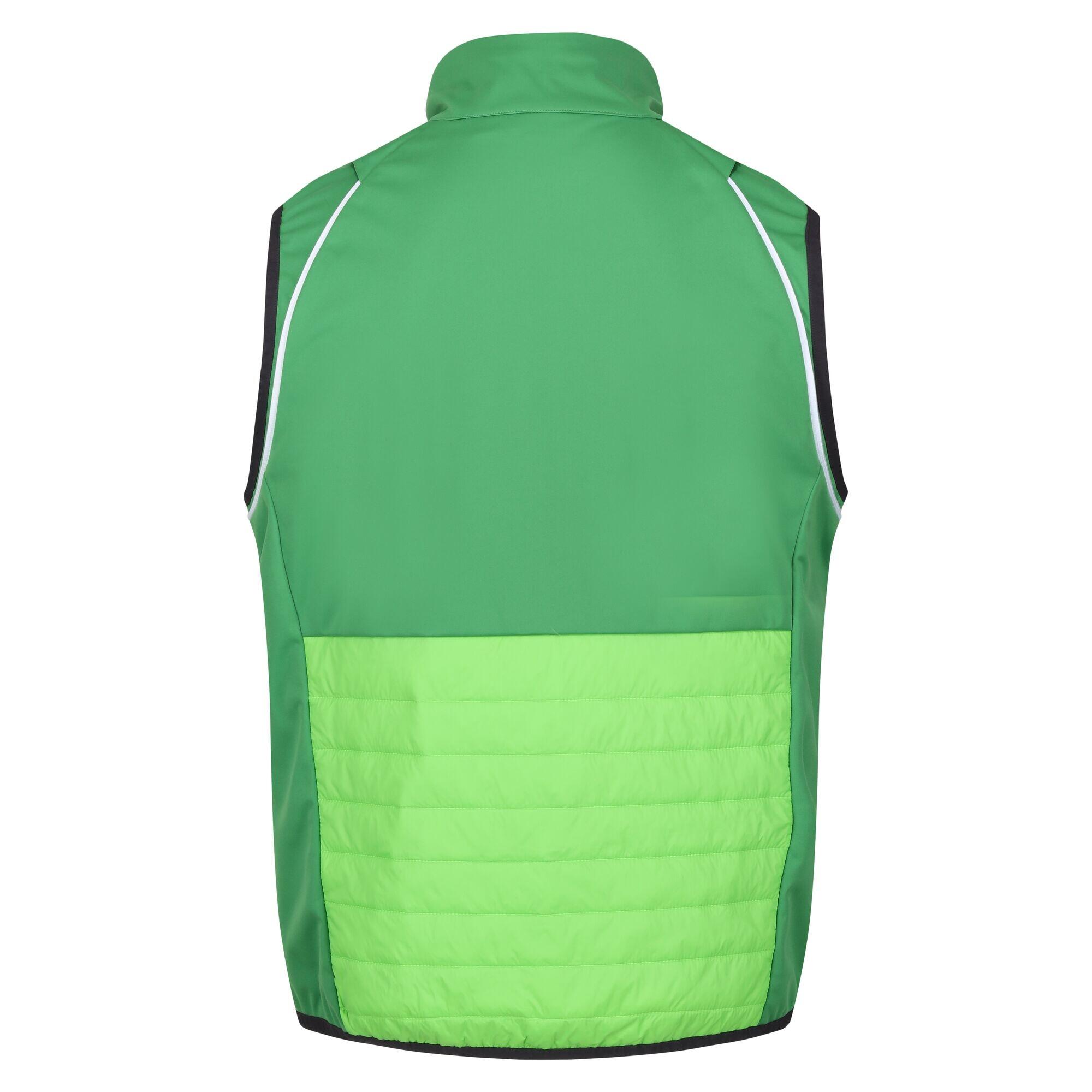 Veste Softshell STEREN HYBRID Homme (Vert Des Champs / Vert Jasmin) 4/5