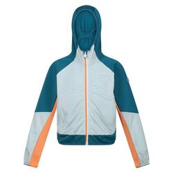 Kinder/Kids Prenton II Hooded Soft Shell Jacket (Zee Haze/Golfstroom)