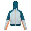 Veste softshell PRENTON Enfant (Bleu pâle / Bleu sarcelle foncé)