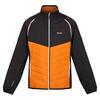 Chaqueta Softshell Steren Hybrid para Hombre Pimienta Naranja, Ceniza