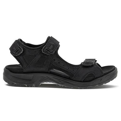 Chaussures universel hommes Ecco 82218402001