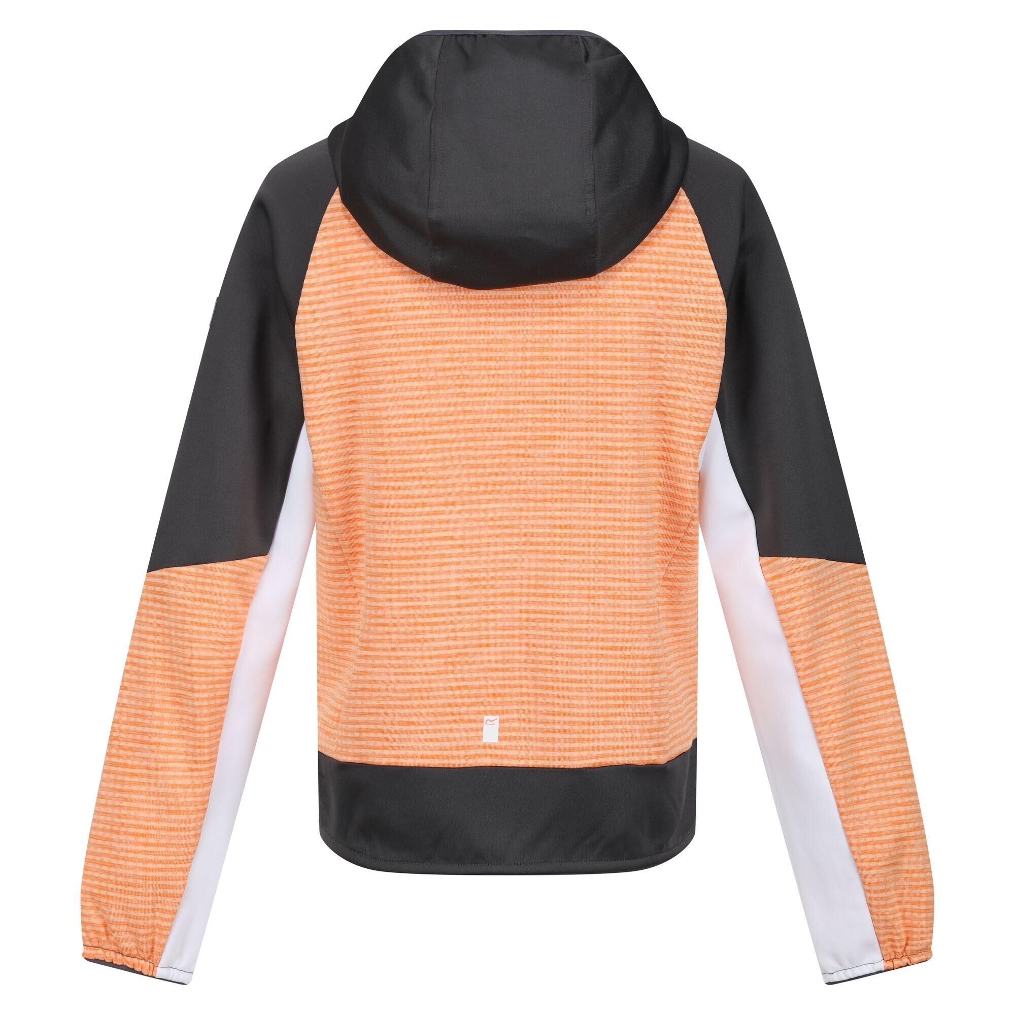 Kinder/Kids Prenton II Hooded Soft Shell Jacket (Abrikoosplet/Grijs) 2/5