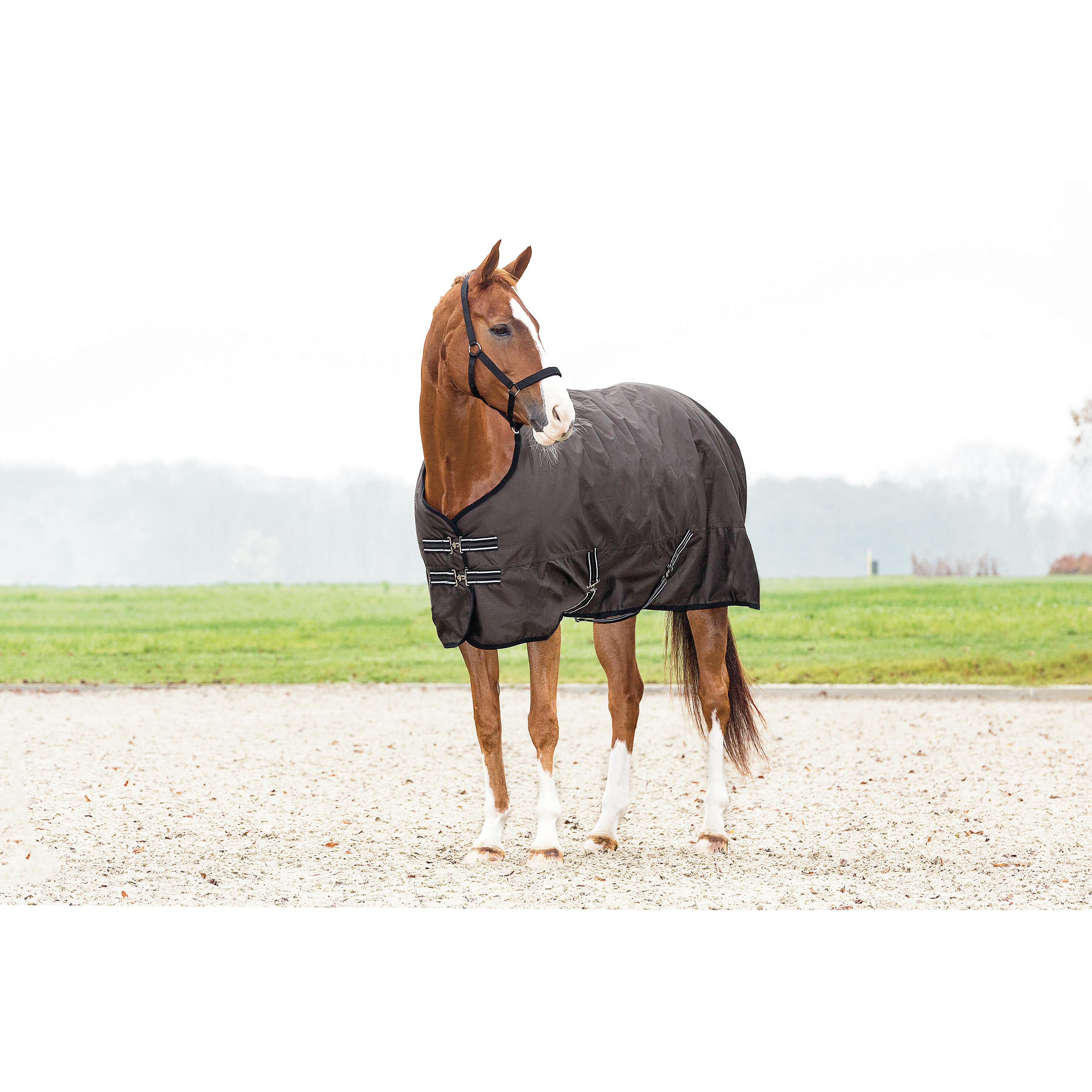 Derka zewnętrzna HorseGuard 600D 200 g 2/2