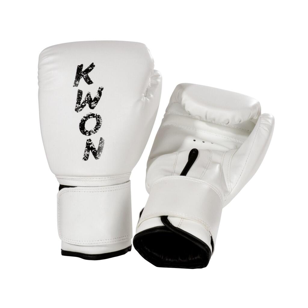 Boxing gloves Kwon Training