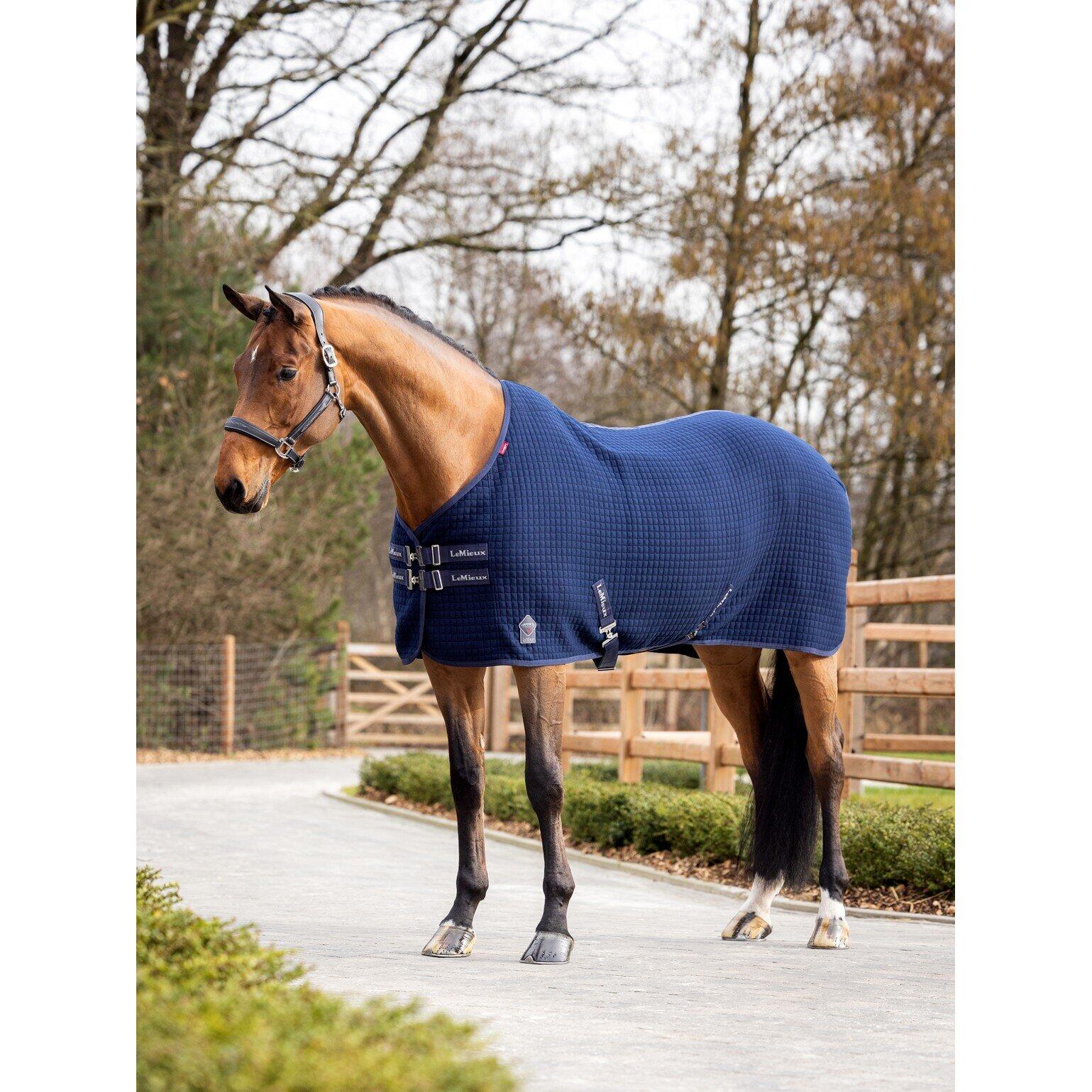Paardendeken LeMieux Arika Clima-Tek 3/7
