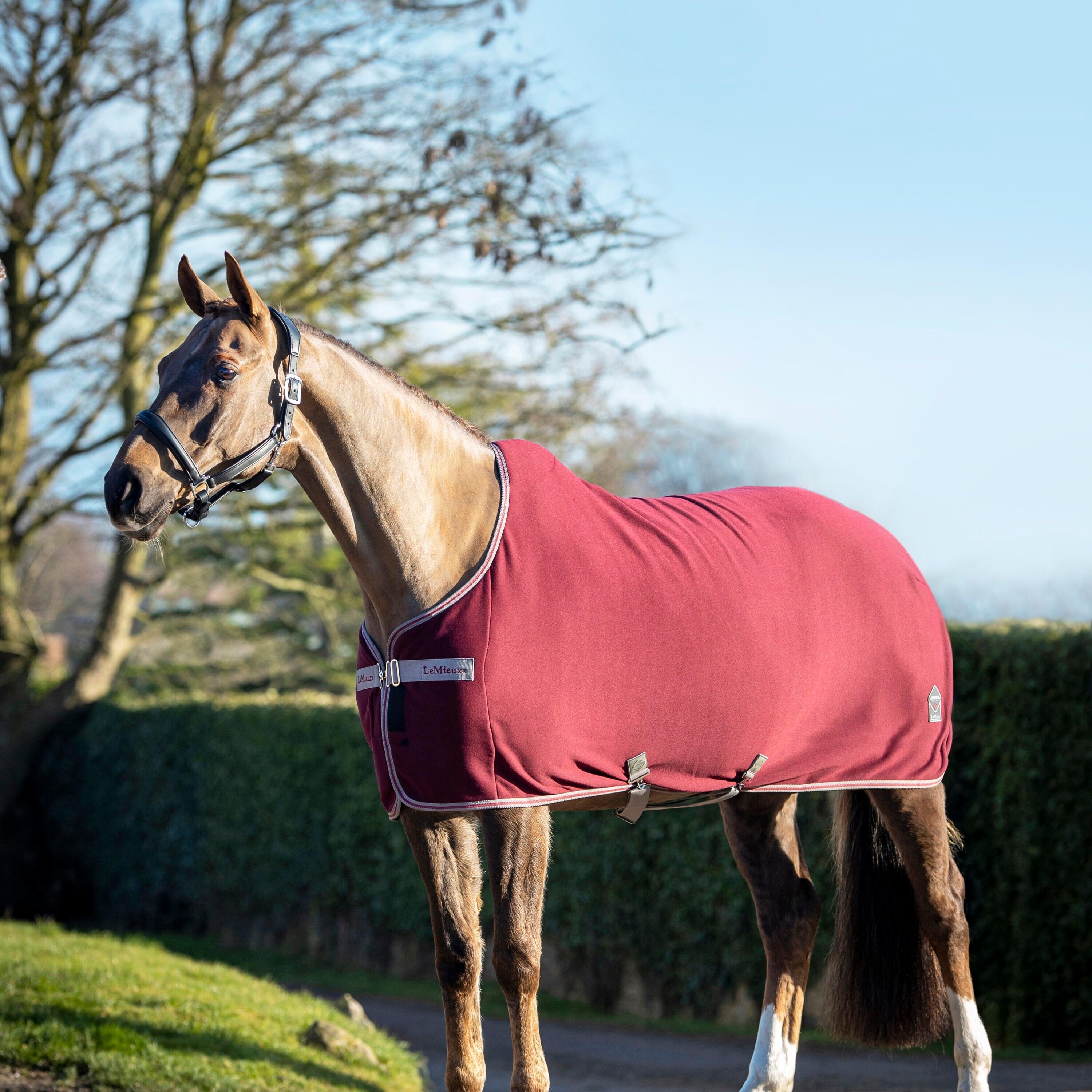 Fleecedeken voor paarden LeMieux Arika 2/2
