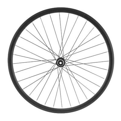 Ruota anteriore tubeless a disco con perno passante in acciaio a raggi P2R Shima