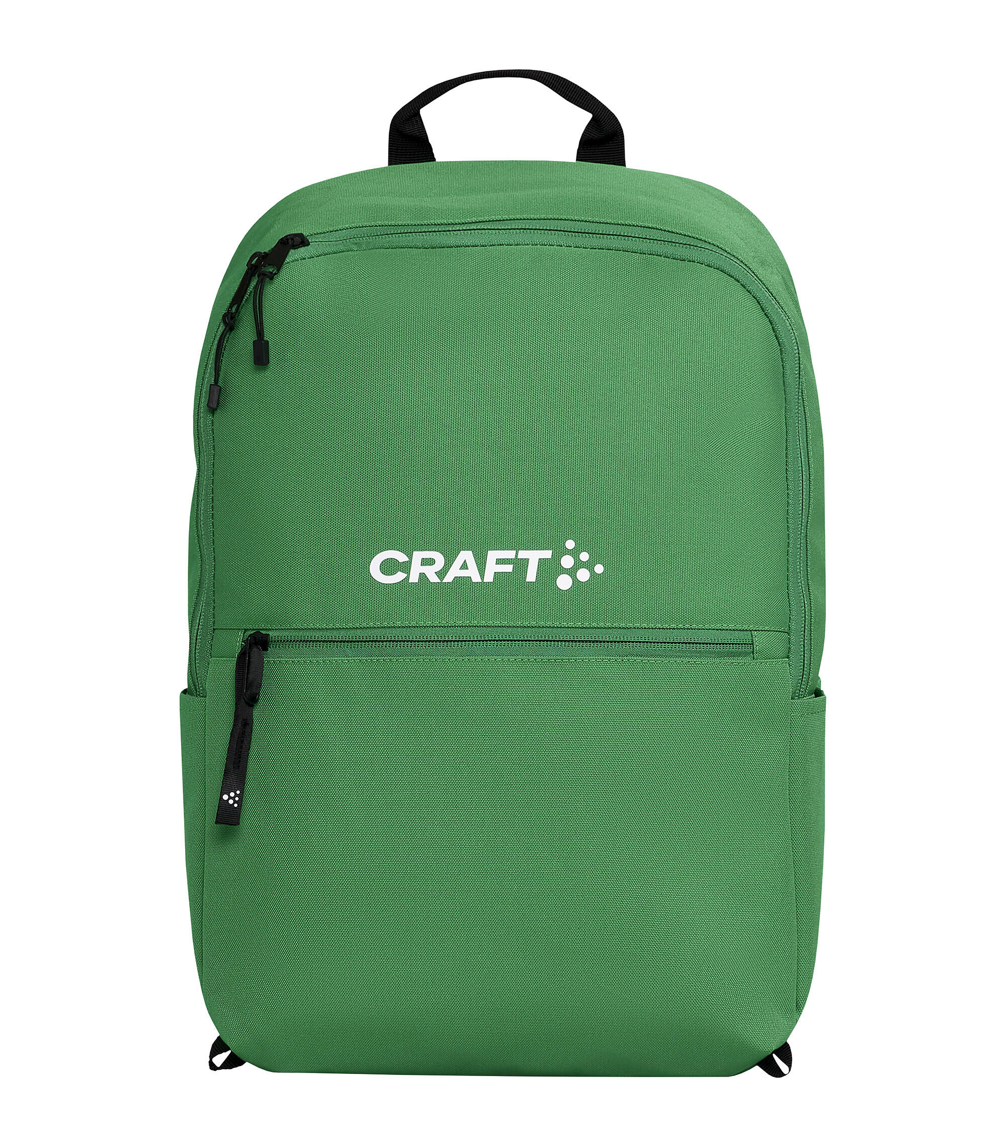 CRAFT picture