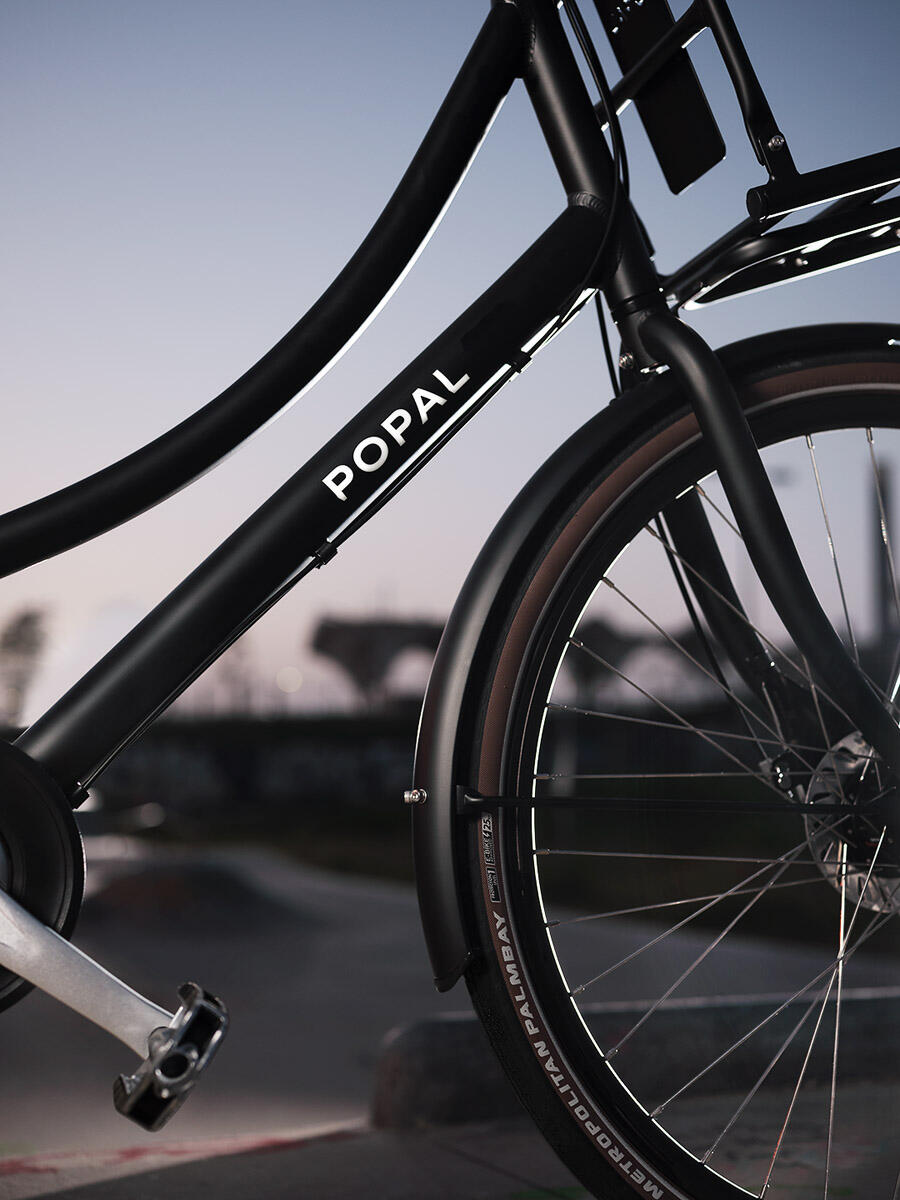 Popal Daily Dutch Prestige N3 Transportfiets - Stadsfiets Dames - Petrol Blauw 5/6