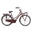 Popal Daily Dutch Basic+ N3 Hollandrad - Citybike - Damen - Eichenrot