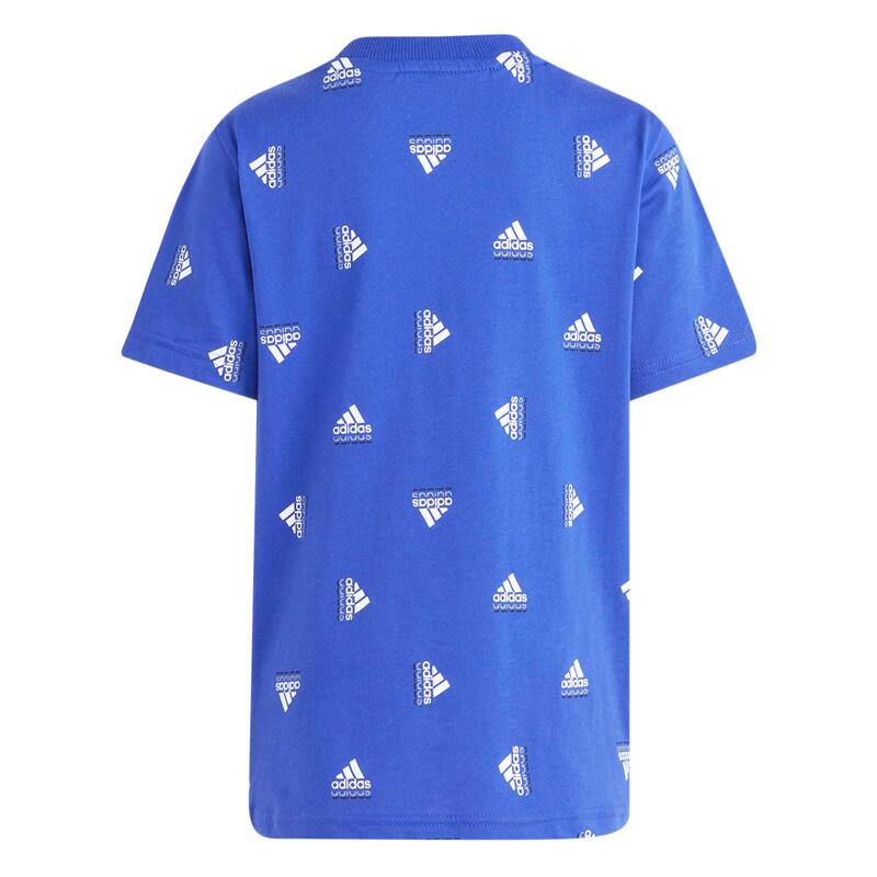 T-Shirt Adidas Original Lk Bluv Co Tee Junior