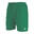 Pantalón Corto de Fútbol para Niños Asioka Premium Verde