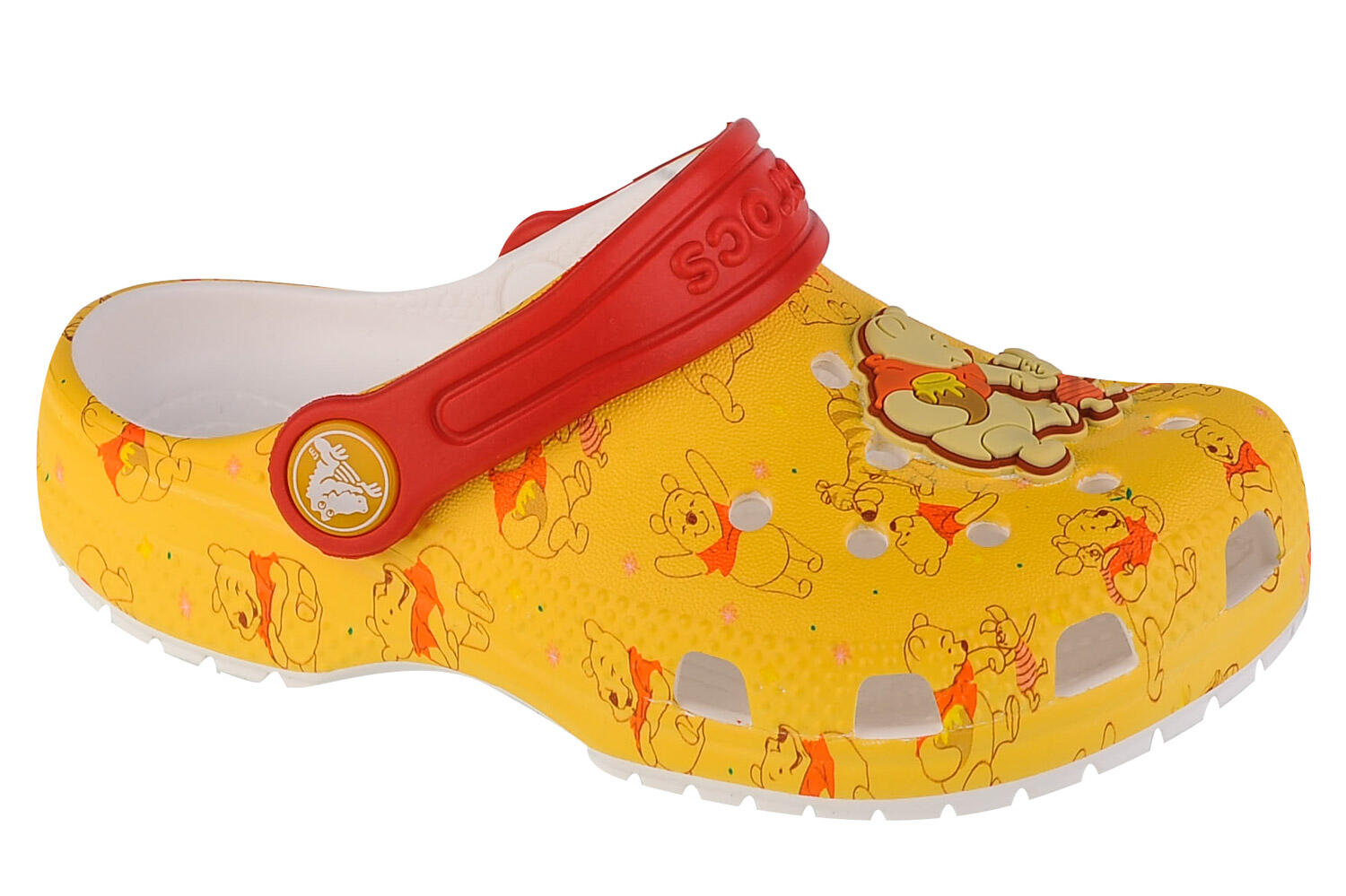 CROCS picture
