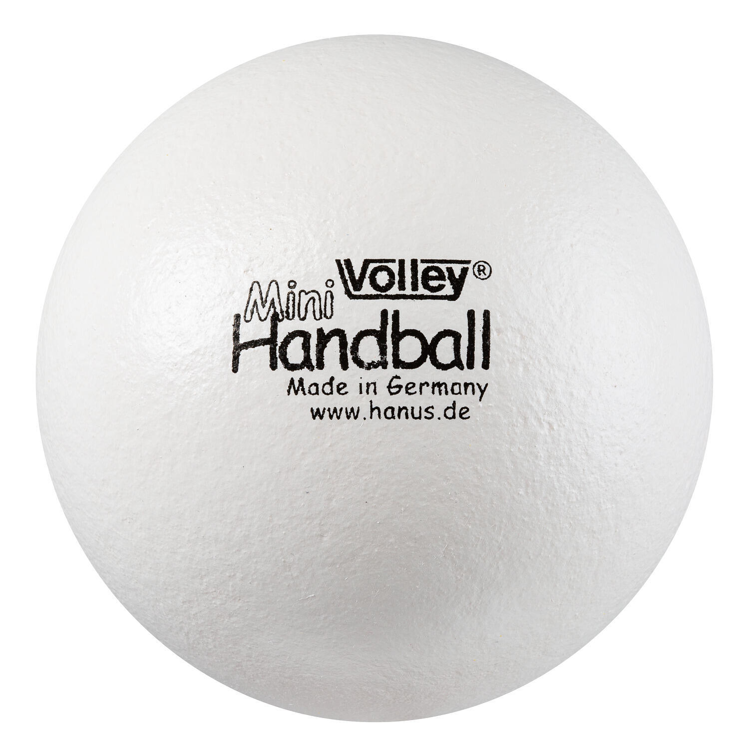 VOLLEY picture