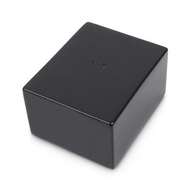 Stoßstein 10 kg Leichtathletik Unisex Schwarz