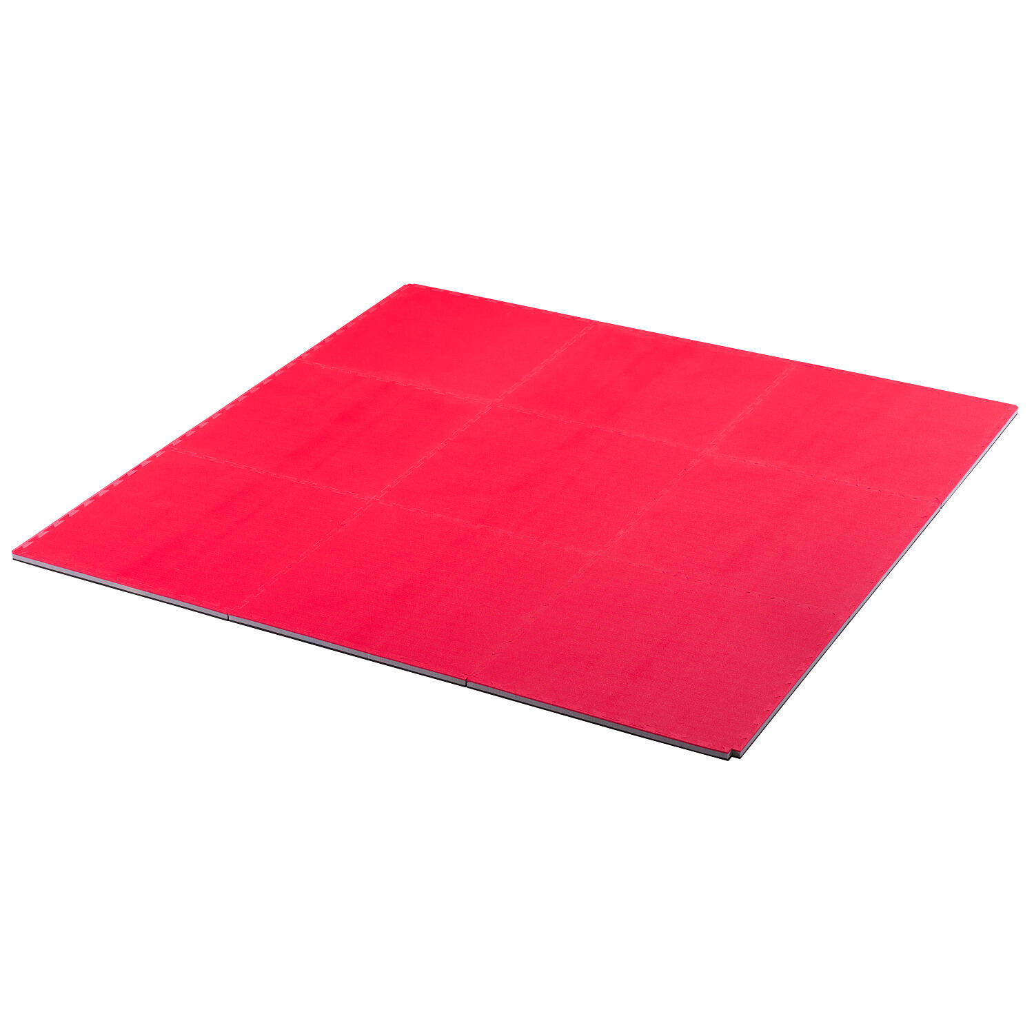 PROGAME TROCELLEN picture